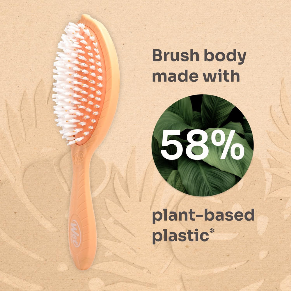 Brush demonstrates distribution of natural oils through hair with Go Green Coconut Oil.