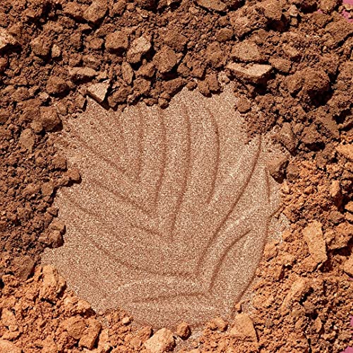 wet n wild Color Icon Bronzer Ticket to Brazil compact close-up shows smooth texture
