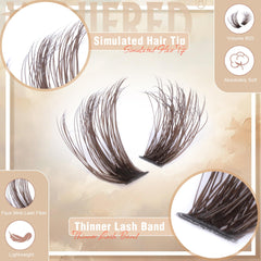 Winifred brown lash clusters 14mm for bold, eye-opening enhancement.