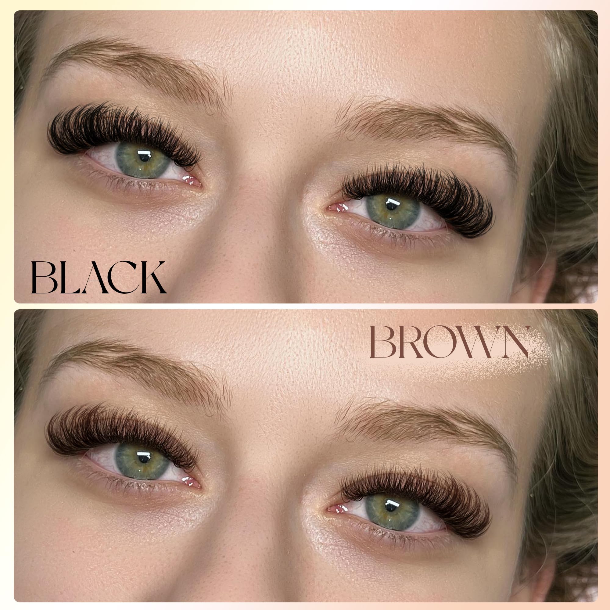 Winifred brown lash clusters collection shows multiple lengths for mixing looks.