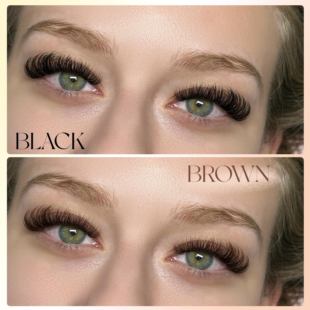 Winifred brown lash clusters collection shows multiple lengths for mixing looks.