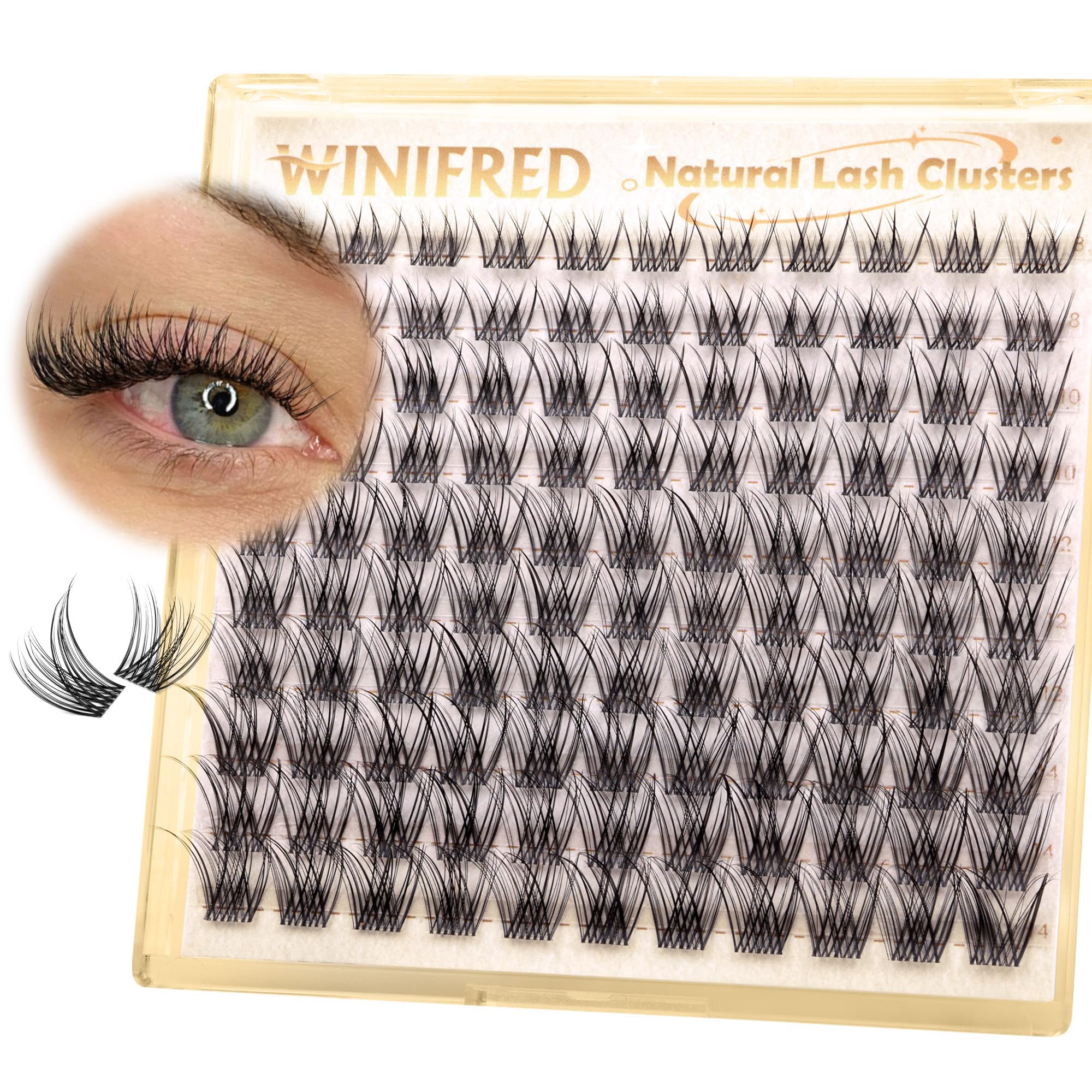 Winifred natural lash clusters with clear band for seamless daily look and easy application.
