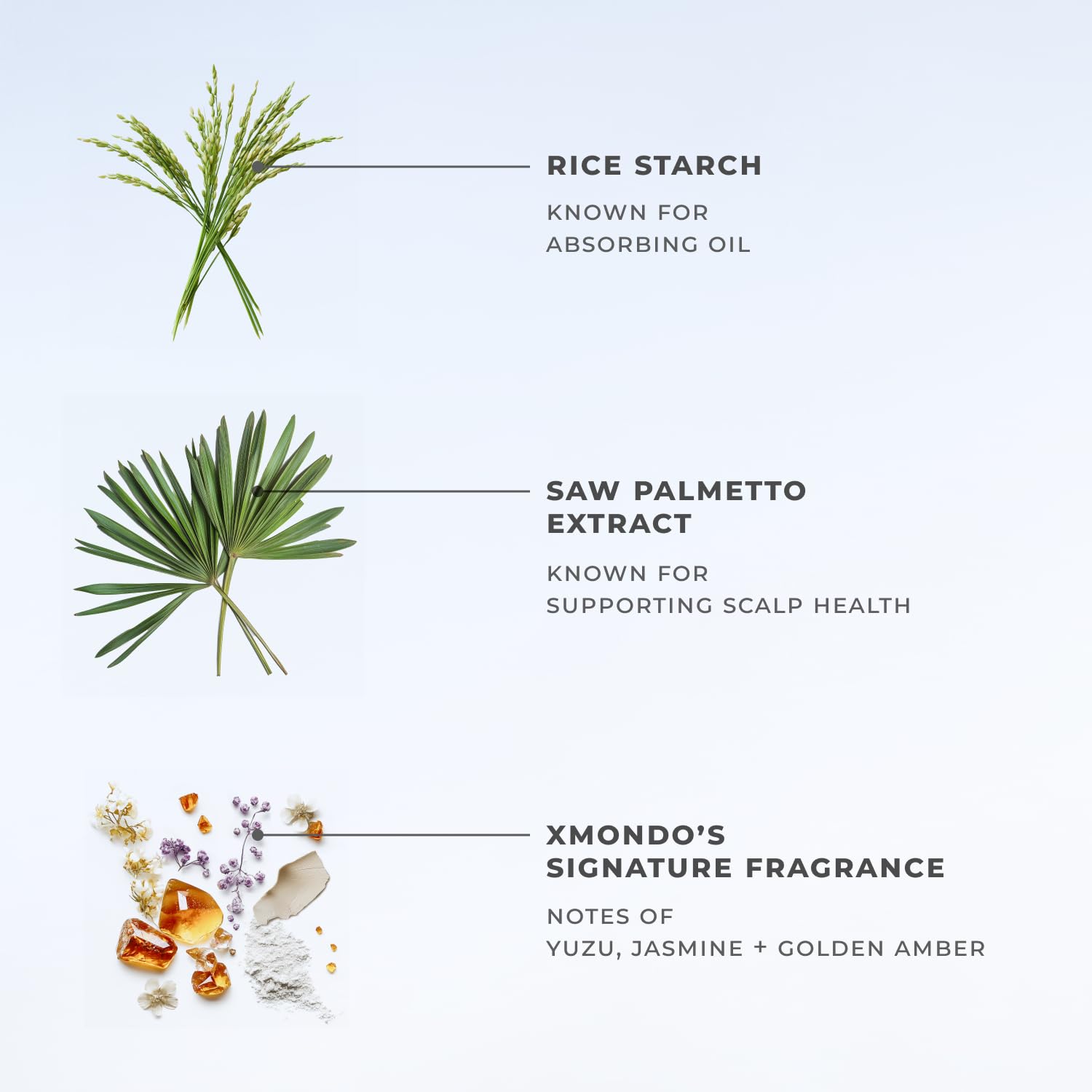 XMONDO Hair Boost X Dry Shampoo saw-palmetto formula supports scalp care.