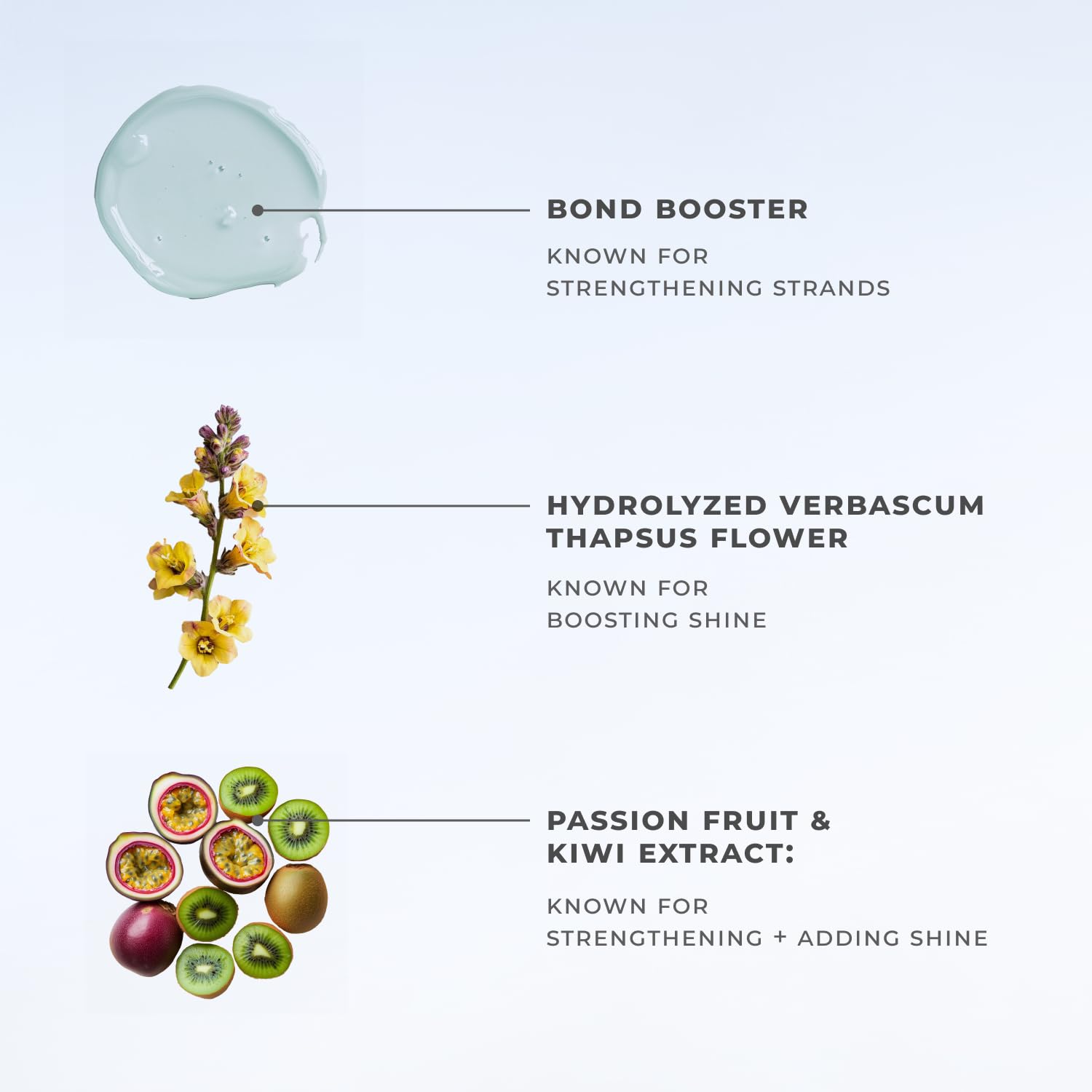 XMONDO Hair Super Gloss scent notes graphic hints at signature fragrance
