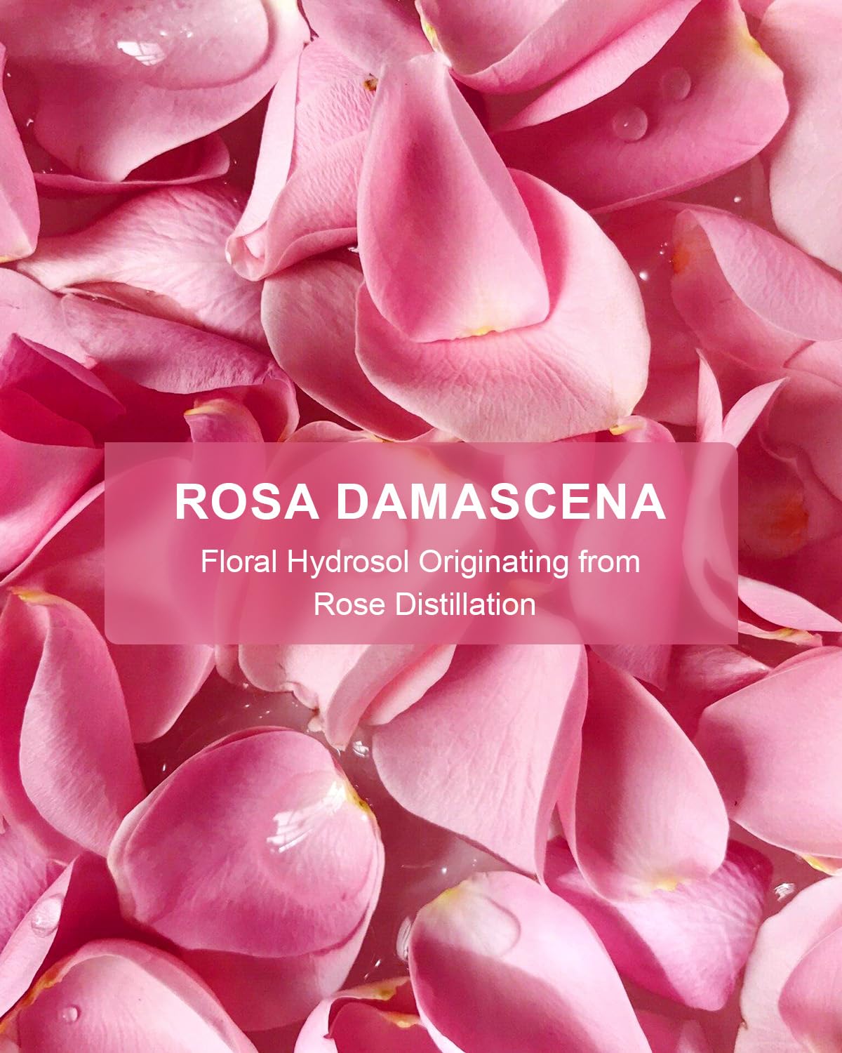 Yoken Rose Hydrosol base for DIY skincare recipes