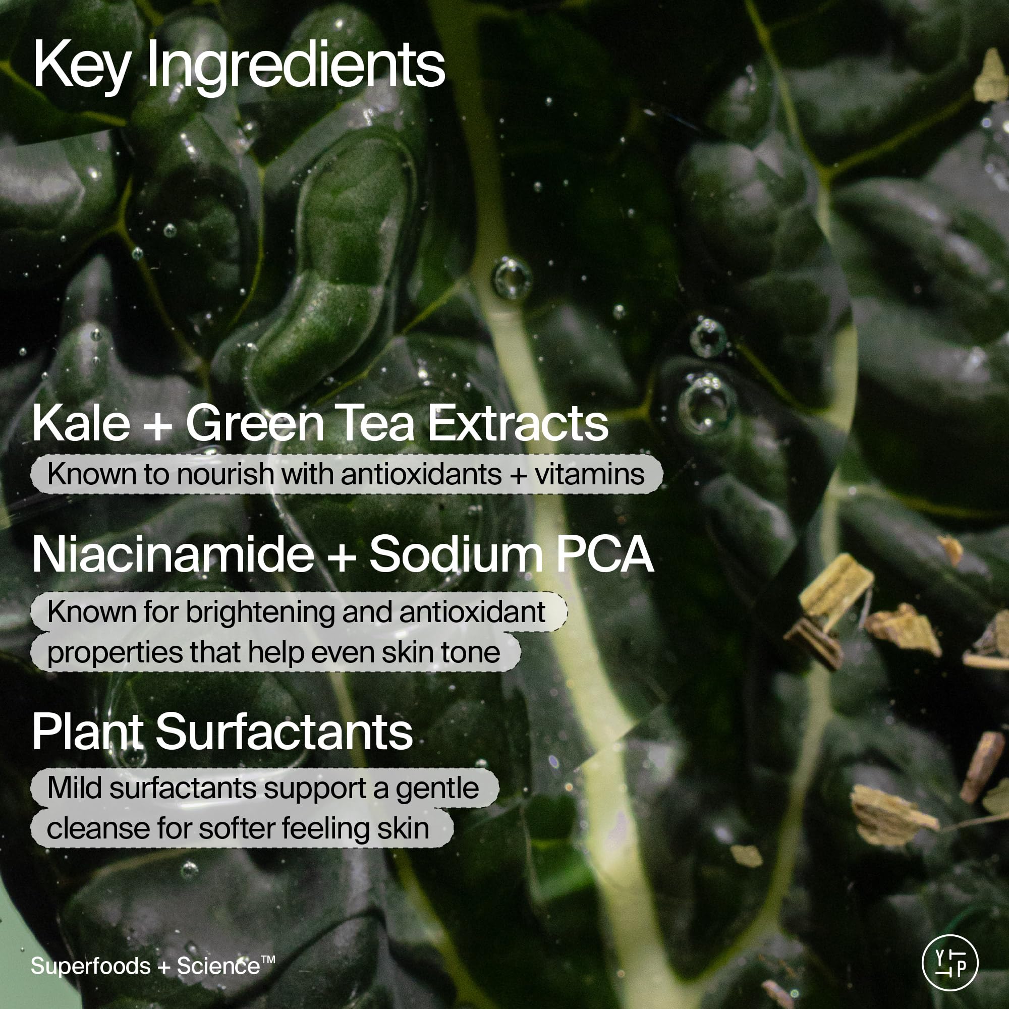 Closeup of kale and green tea extracts from Youth To The People—antioxidant-rich nourishment.