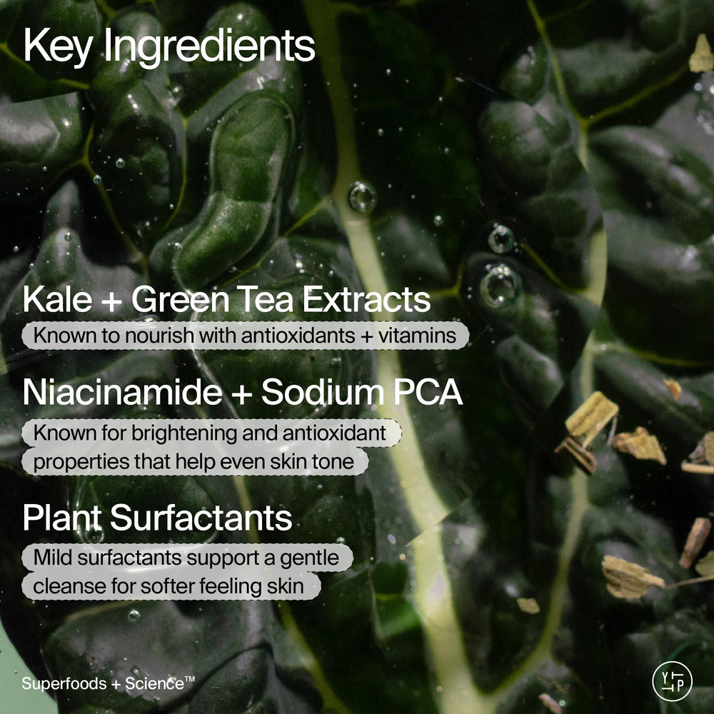 Closeup of kale and green tea extracts from Youth To The People—antioxidant-rich nourishment.