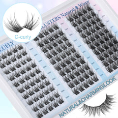 Zanlufly DIY lash setup for fast, professional-looking results at home.
