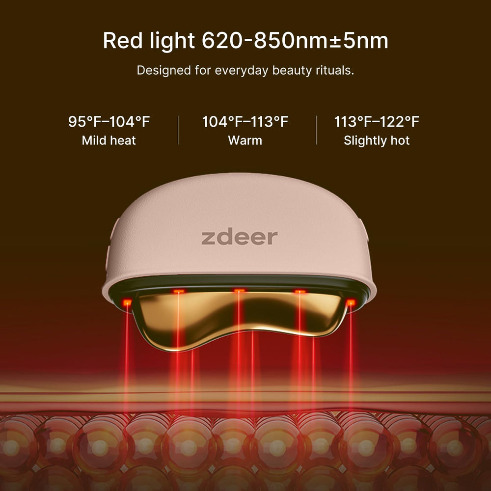 ZDEER compact, travel-friendly skincare device in a carry case.
