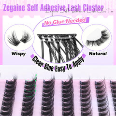 Zegaine C-curly lash clusters define eyes with subtle volume.