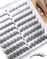 Zegaine fox eye clusters show left-right design for quick, balanced application.