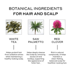 Zenagen Densifying Hair Serum texture is watery and fast-absorbing