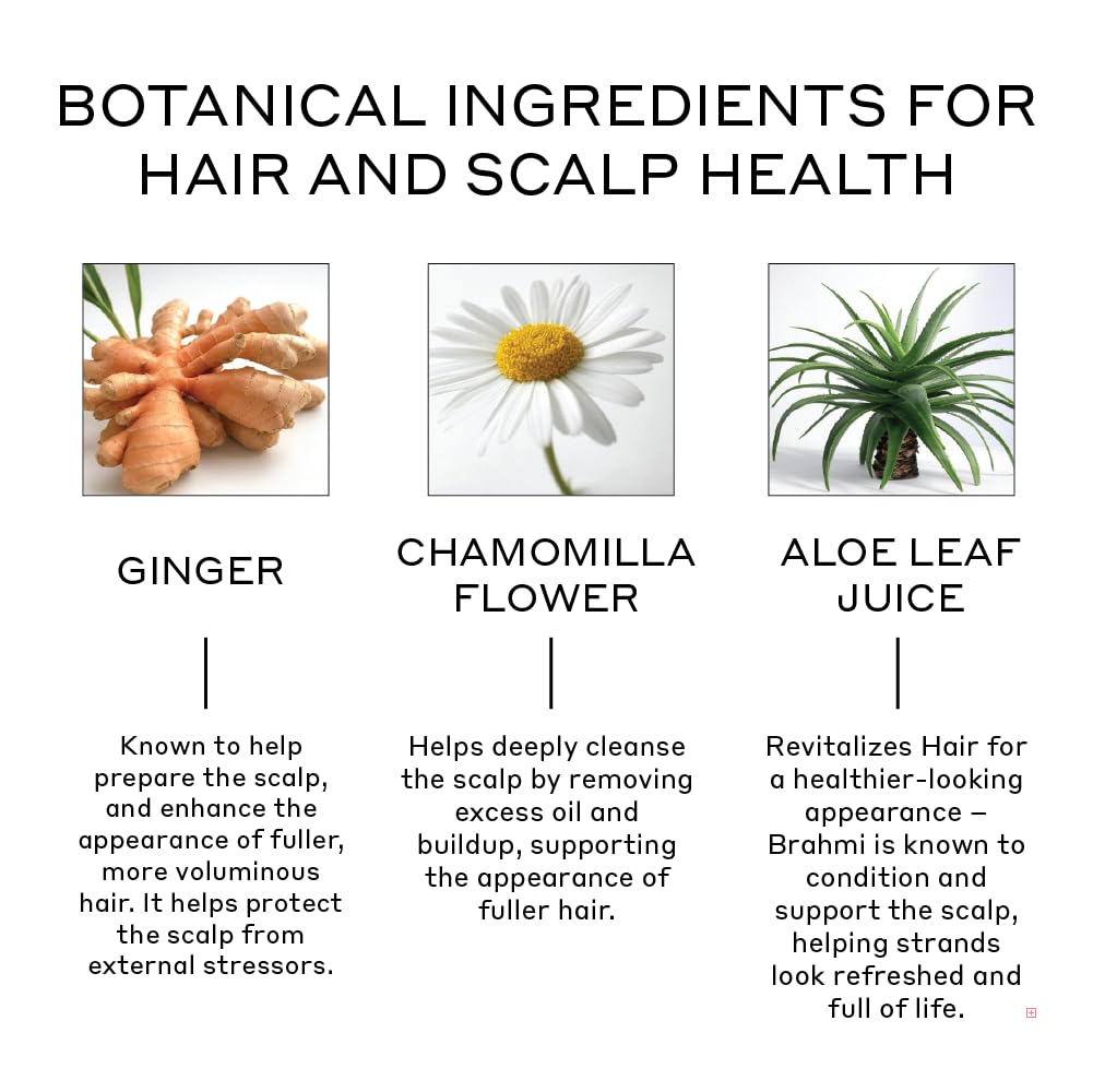 Model applying Zenagen Revolve conditioner to scalp for even distribution