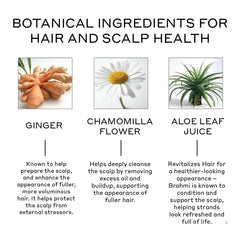 Model applying Zenagen Revolve conditioner to scalp for even distribution