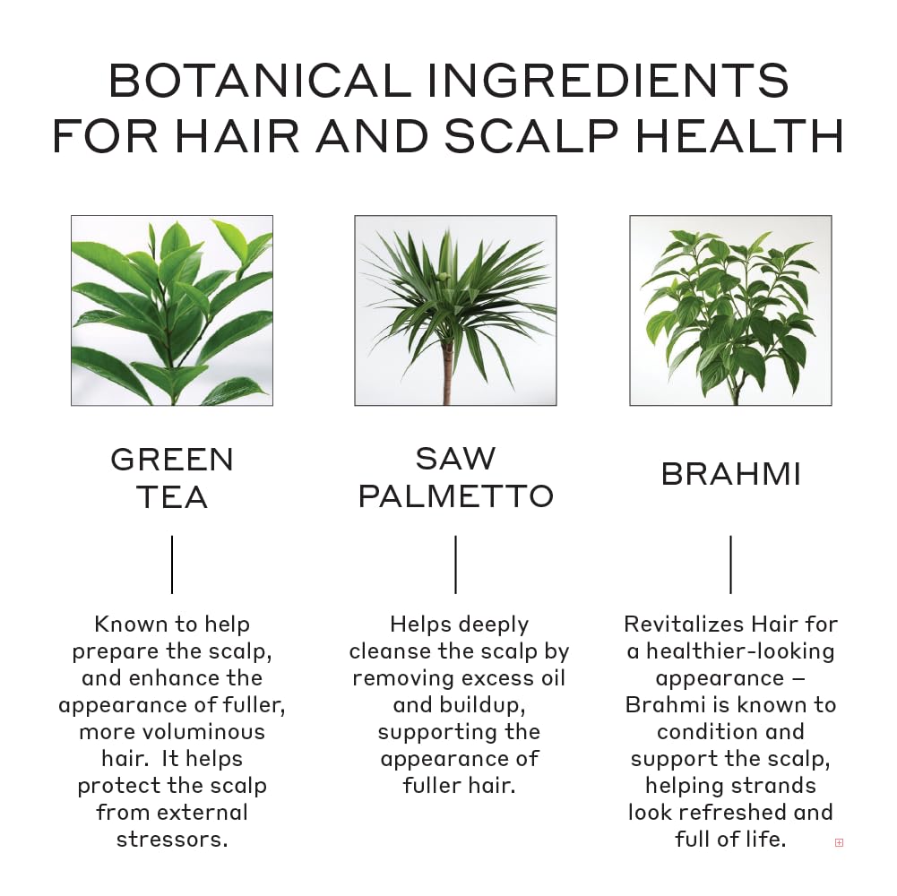 Zenagen Revolve shampoo close-up showing plant-based ingredients.