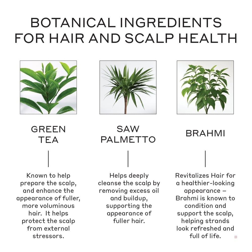 Zenagen Revolve shampoo close-up showing plant-based ingredients.