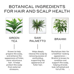 Zenagen Revolve shampoo close-up showing plant-based ingredients.